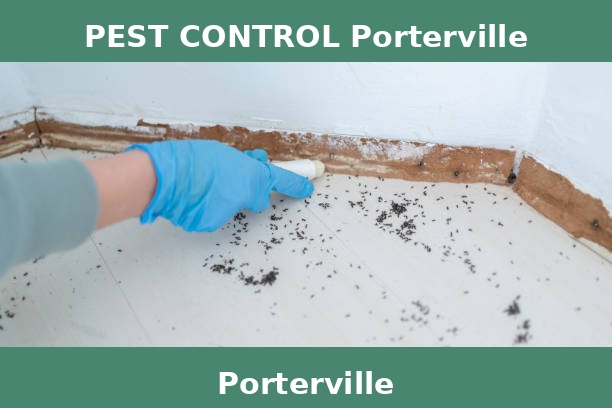 PEST CONTROL Porterville